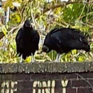 Meet your Posher, Jack